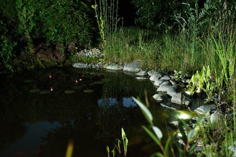 Ferienwohnung Welcome Mit Seeblick Schalkenmehren Bagian luar foto