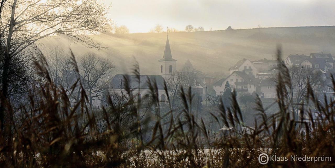 Ferienwohnung Welcome Mit Seeblick Schalkenmehren Bagian luar foto