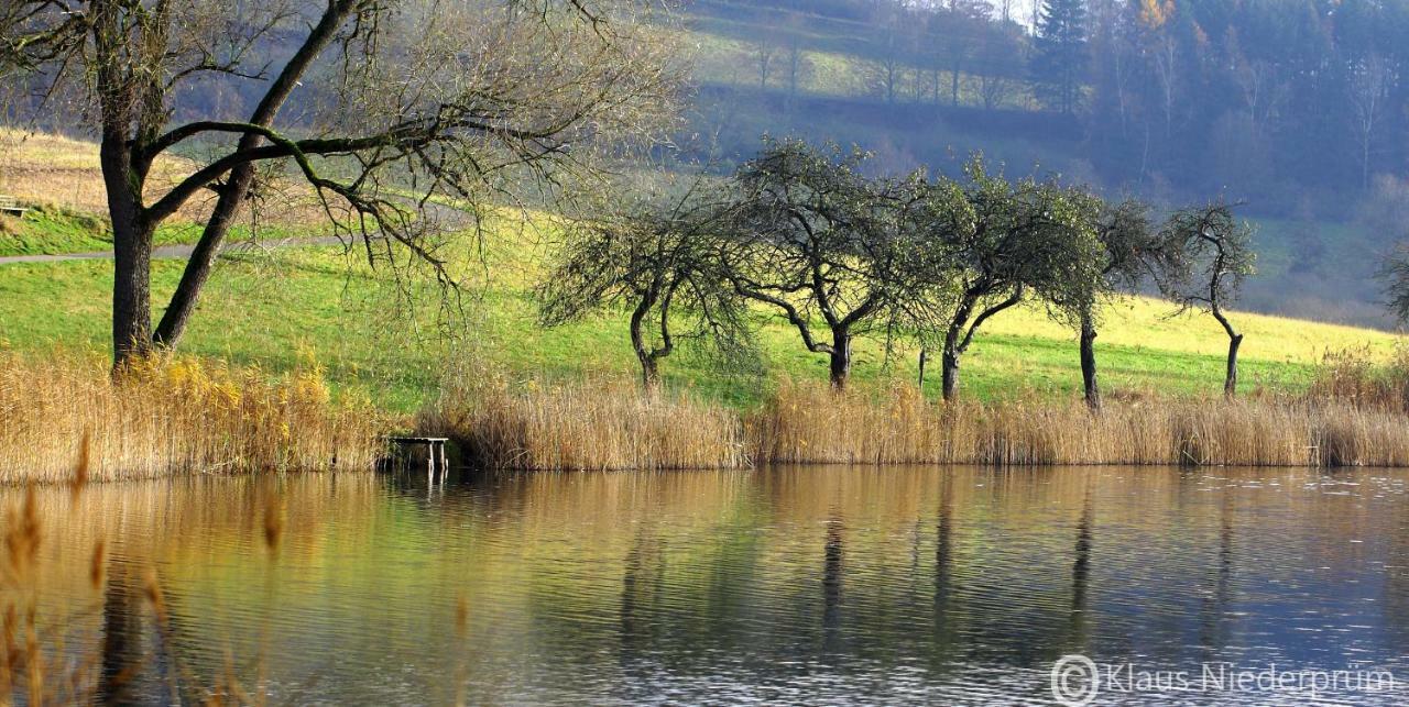 Ferienwohnung Welcome Mit Seeblick Schalkenmehren Bagian luar foto